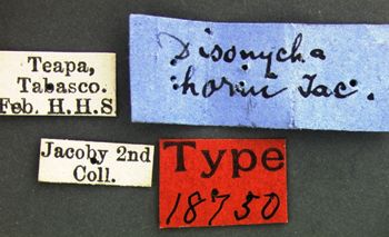 Media type: image;   Entomology 18750 Aspect: labels